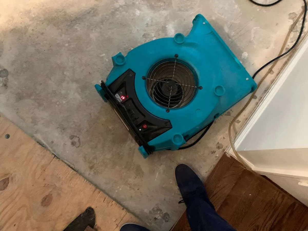 Air mover drying subfloor during Commercial Water Damage Restoration in San Martin